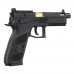 CZ P-09 Optics Ready (ASG) CZ P-09 Optics Ready (ASG)