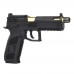 CZ P-09 Optics Ready (ASG) CZ P-09 Optics Ready (ASG)