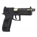 CZ P-09 Optics Ready (ASG)