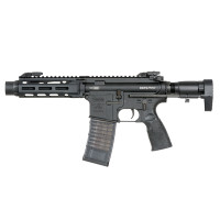 Daniel Defense DDM4 PDW SBR (CYMA PLATINUM)