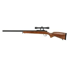 BAR-10 (ACM)