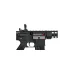 AR-15 (ACM)