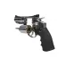 Dan Wesson S25 4.5 mm