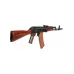 AK-74N (E&L) AK-74N (E&L)